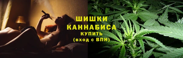 сатива Липки