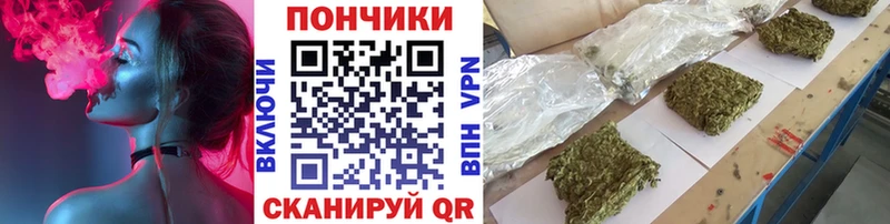 хочу наркоту  Якутск  Канабис индика 